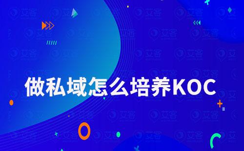 做私域怎么培养KOC